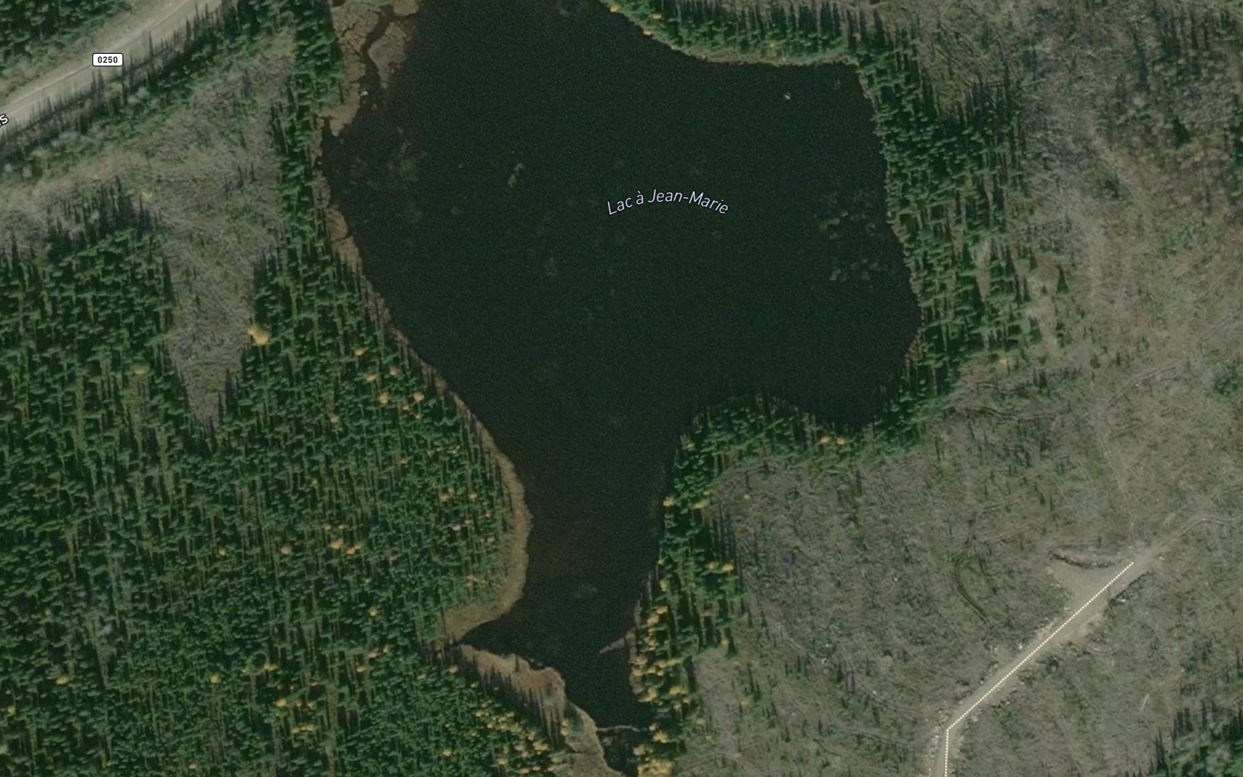 Satellite map of the Lac a Jean-Marie