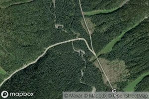 Alpine Creek
