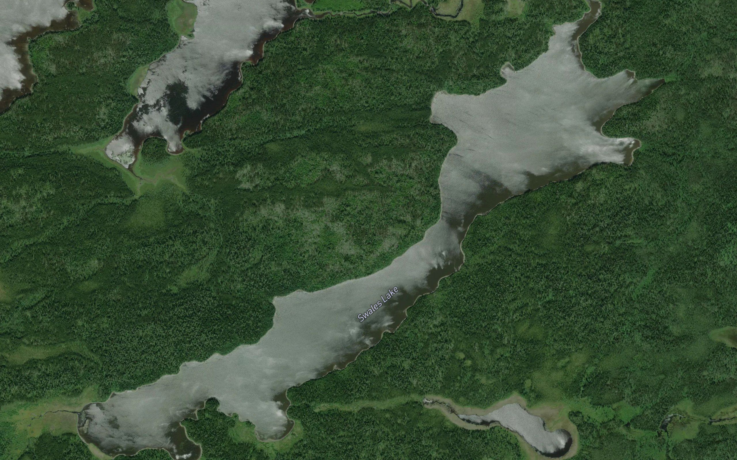 Swales Lake