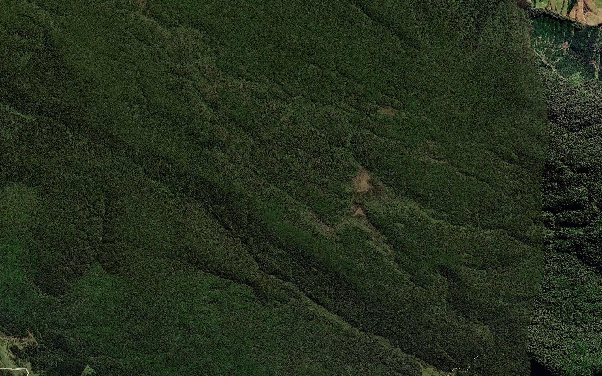 Tautuku River