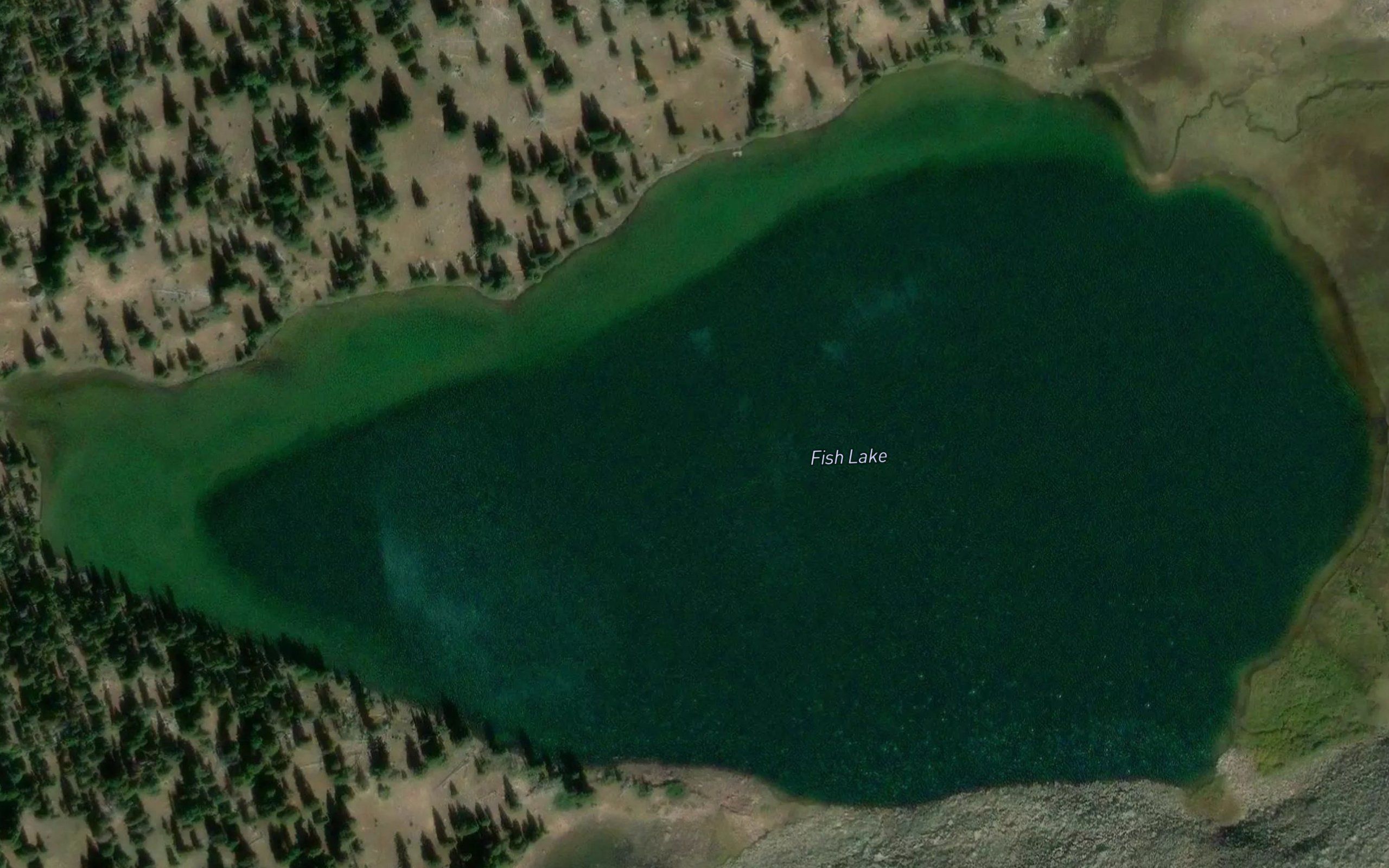 Fish Lake
