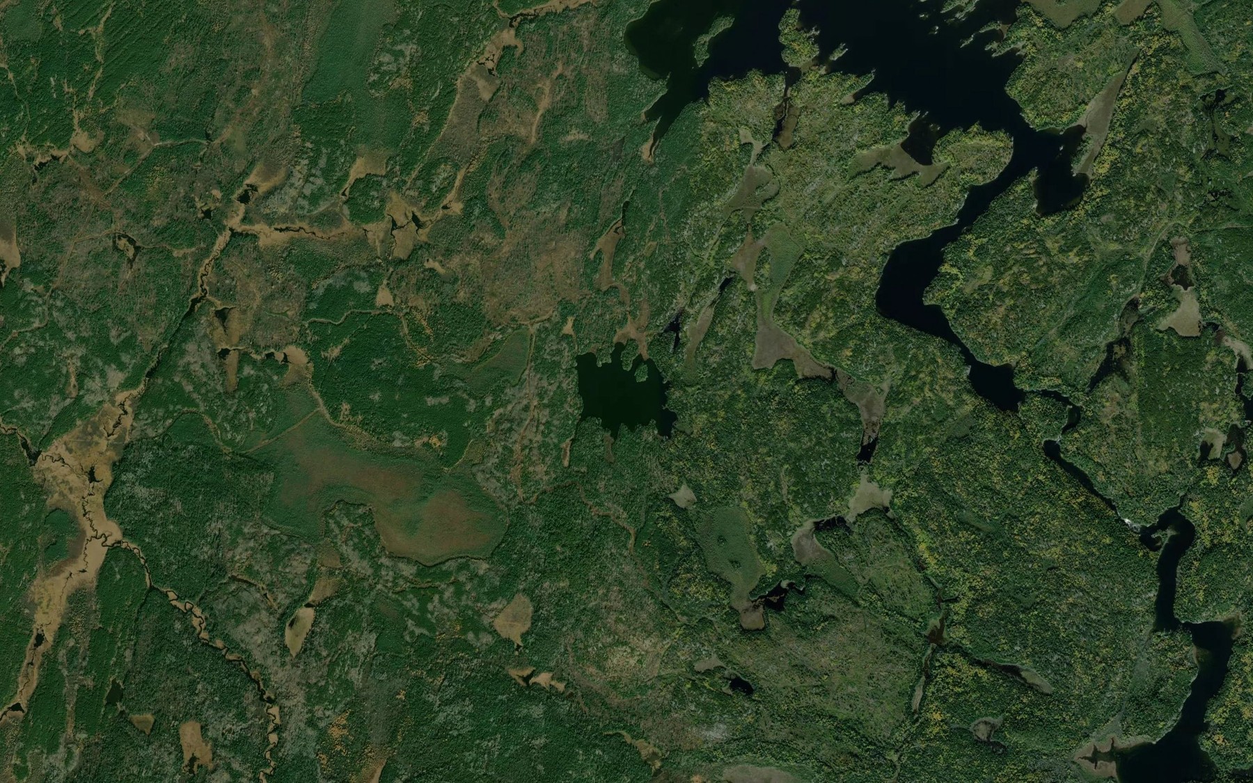 Satellite map of the Pilkey Lake