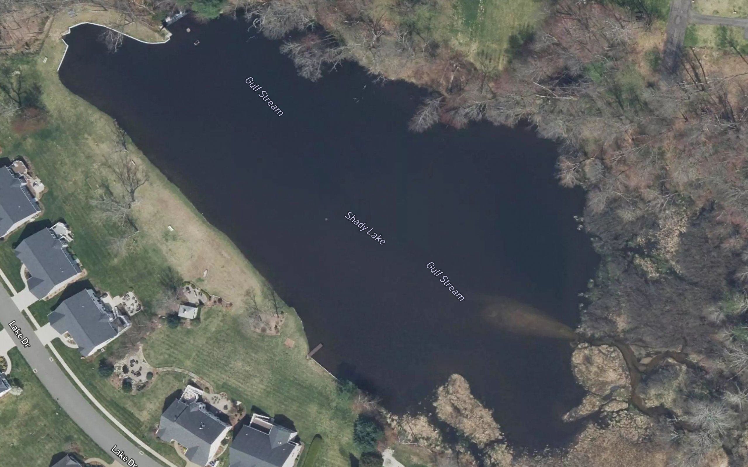 Shady Lake
