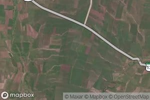 Distributary Number Ninety Nine