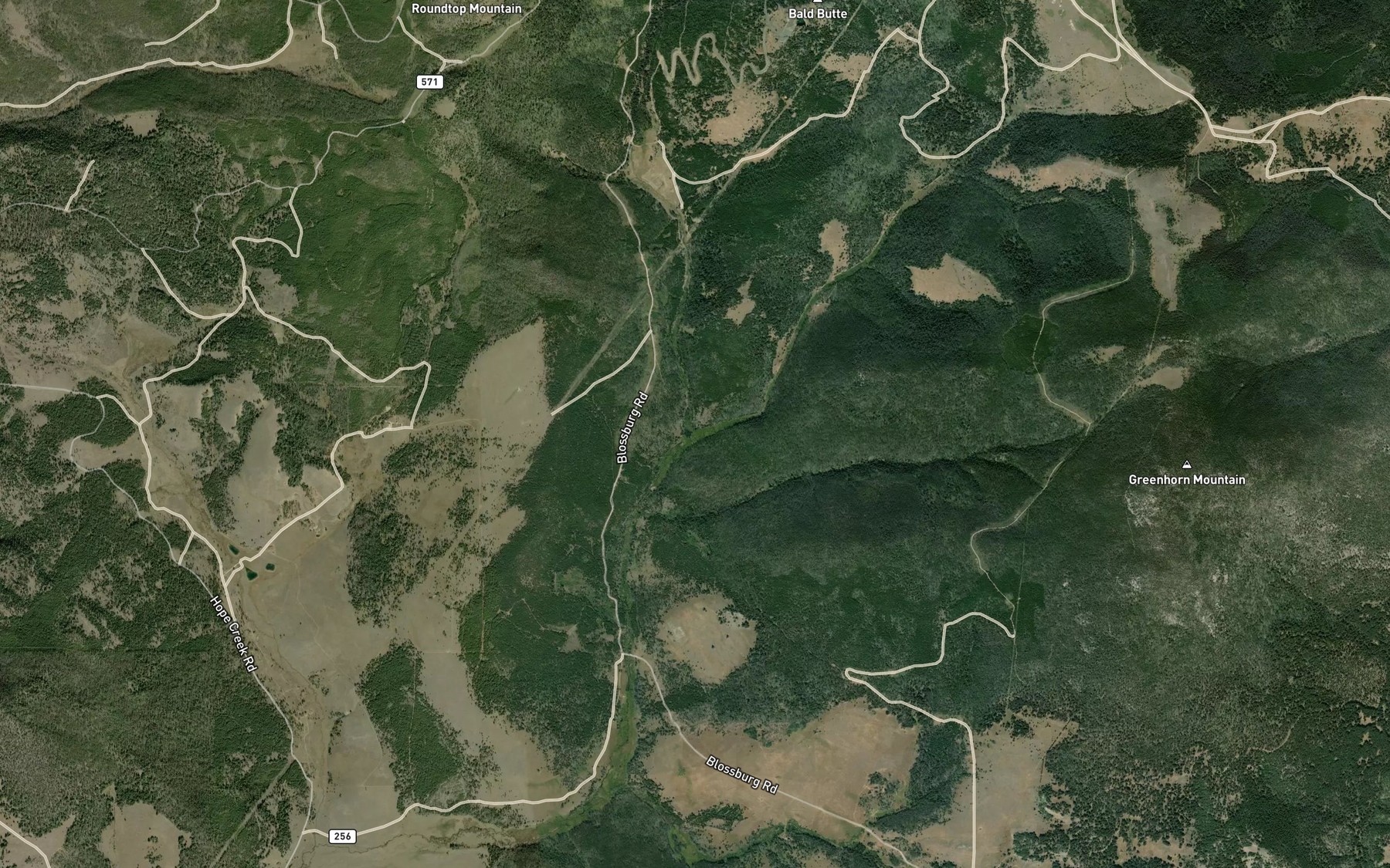 Satellite map of the Beaver Ponds