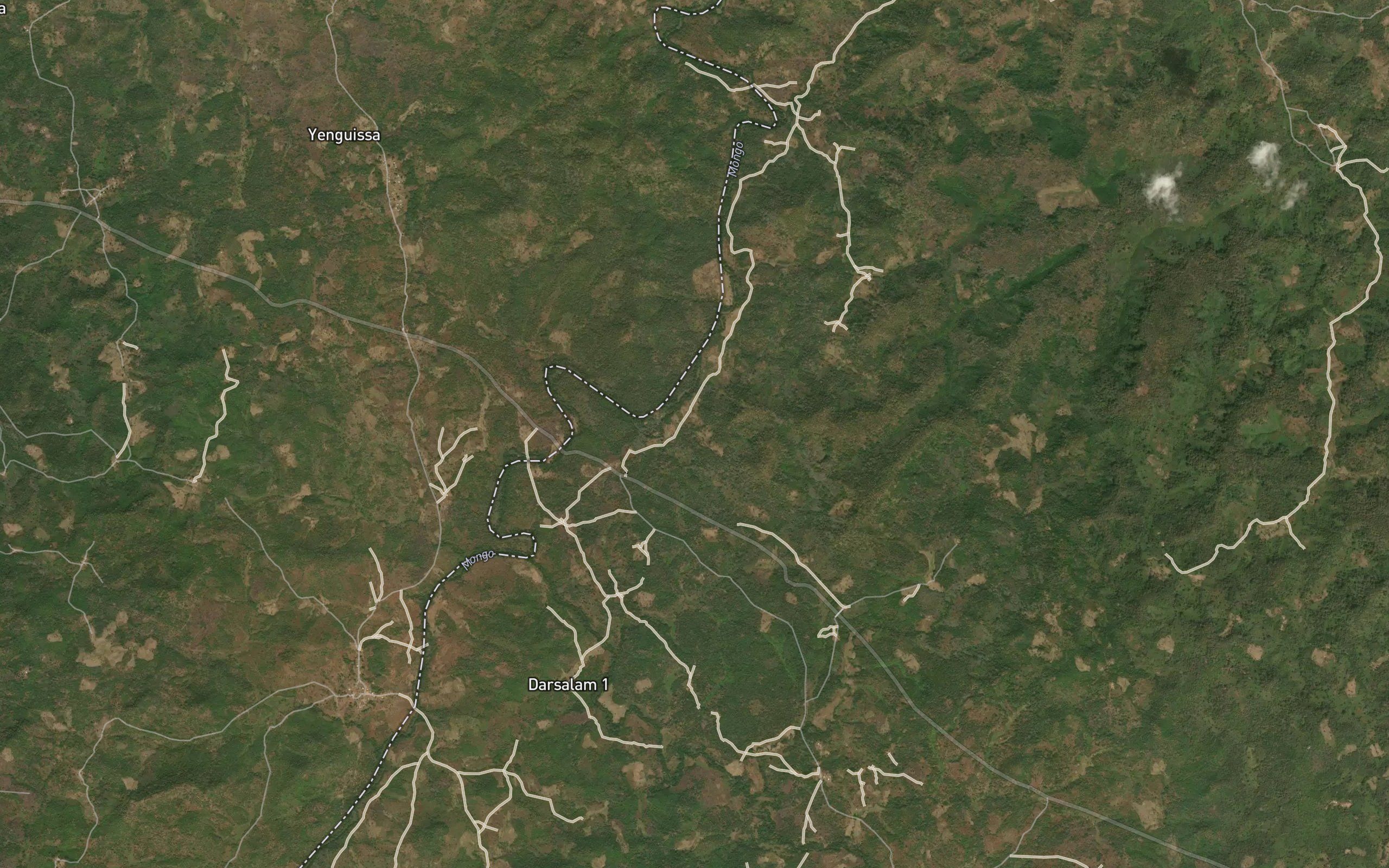 Koka