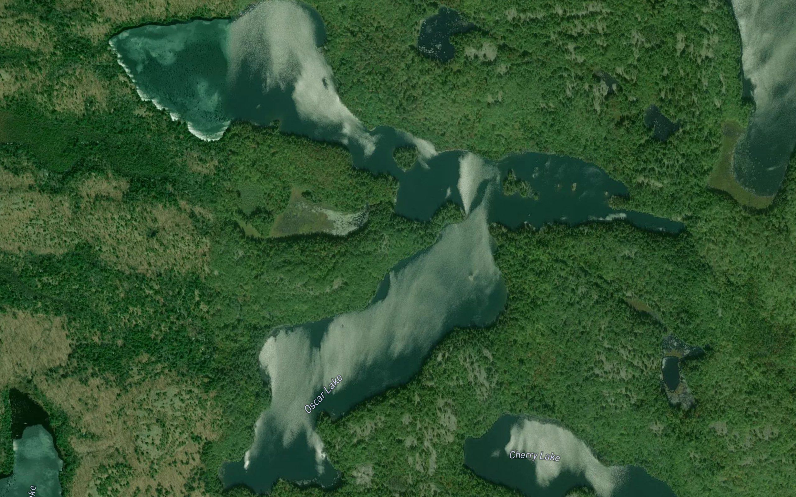 Oscar Lake