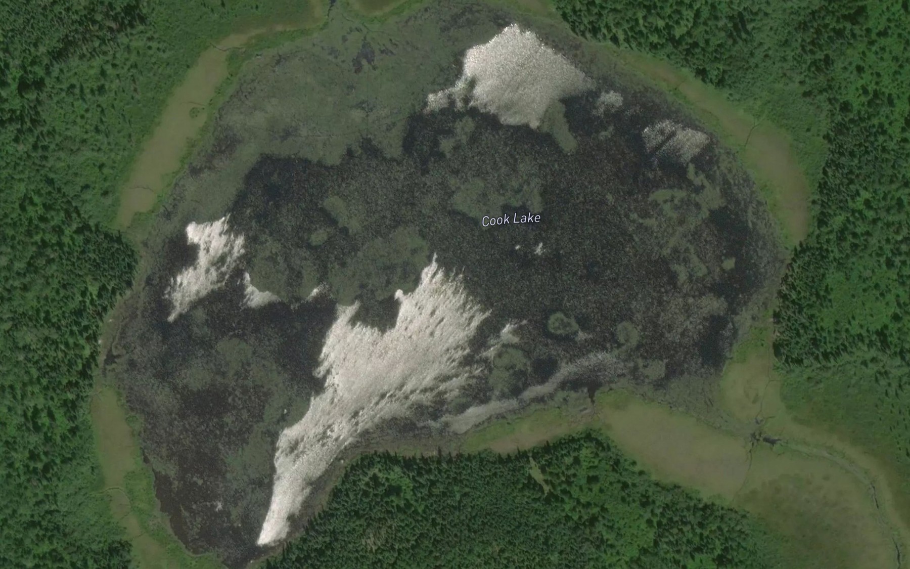 Satellite map of the Cook Lake