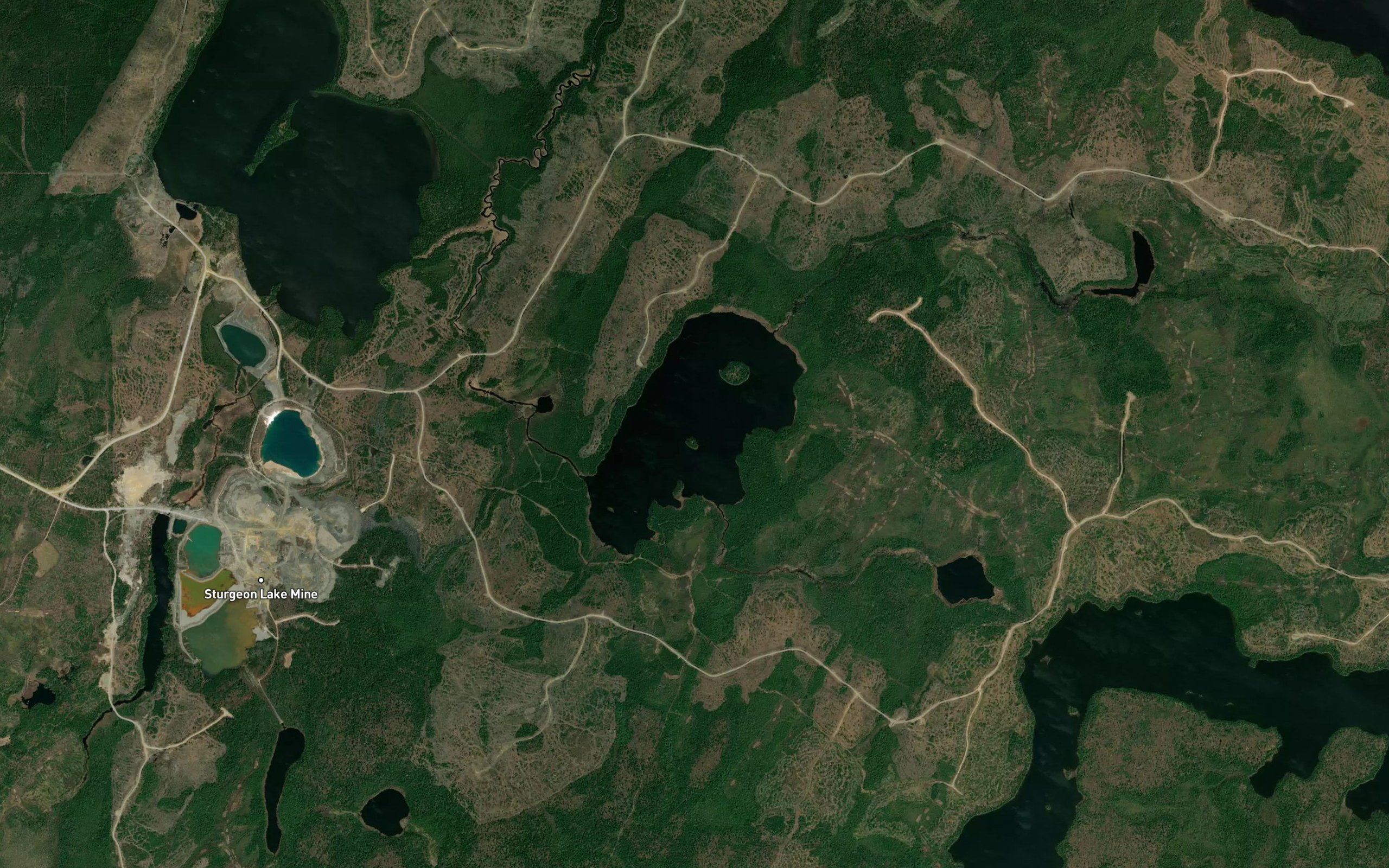 Swamp Lake