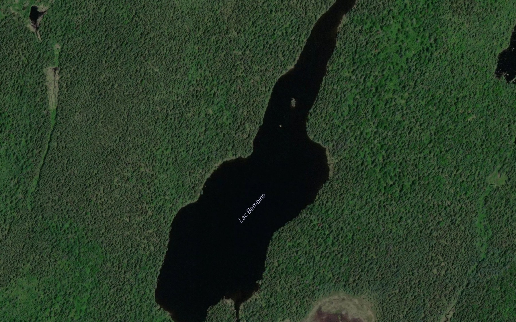 Satellite map of the Lac Bambino
