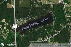 Dixie Springs Lake