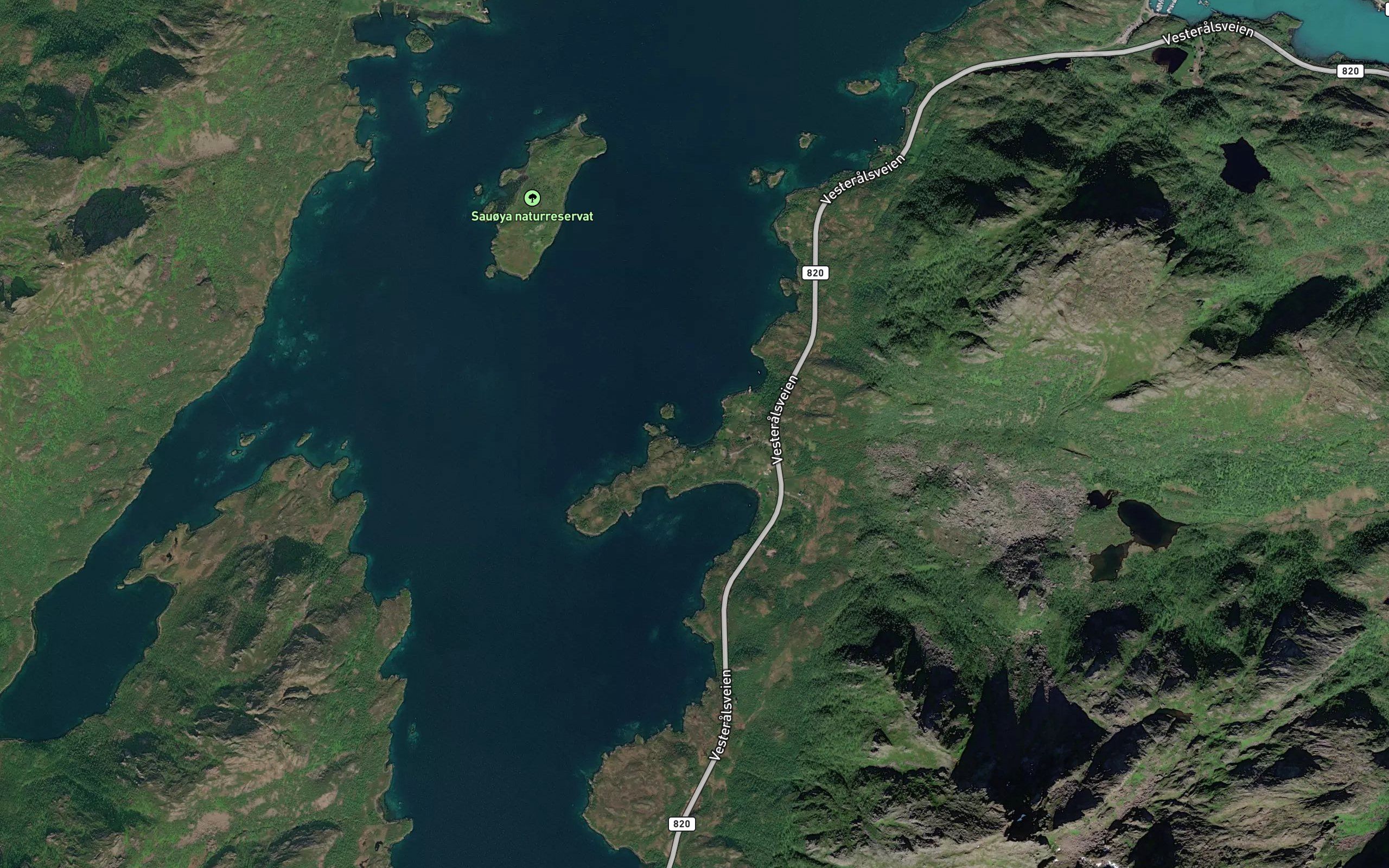 Naustbukta