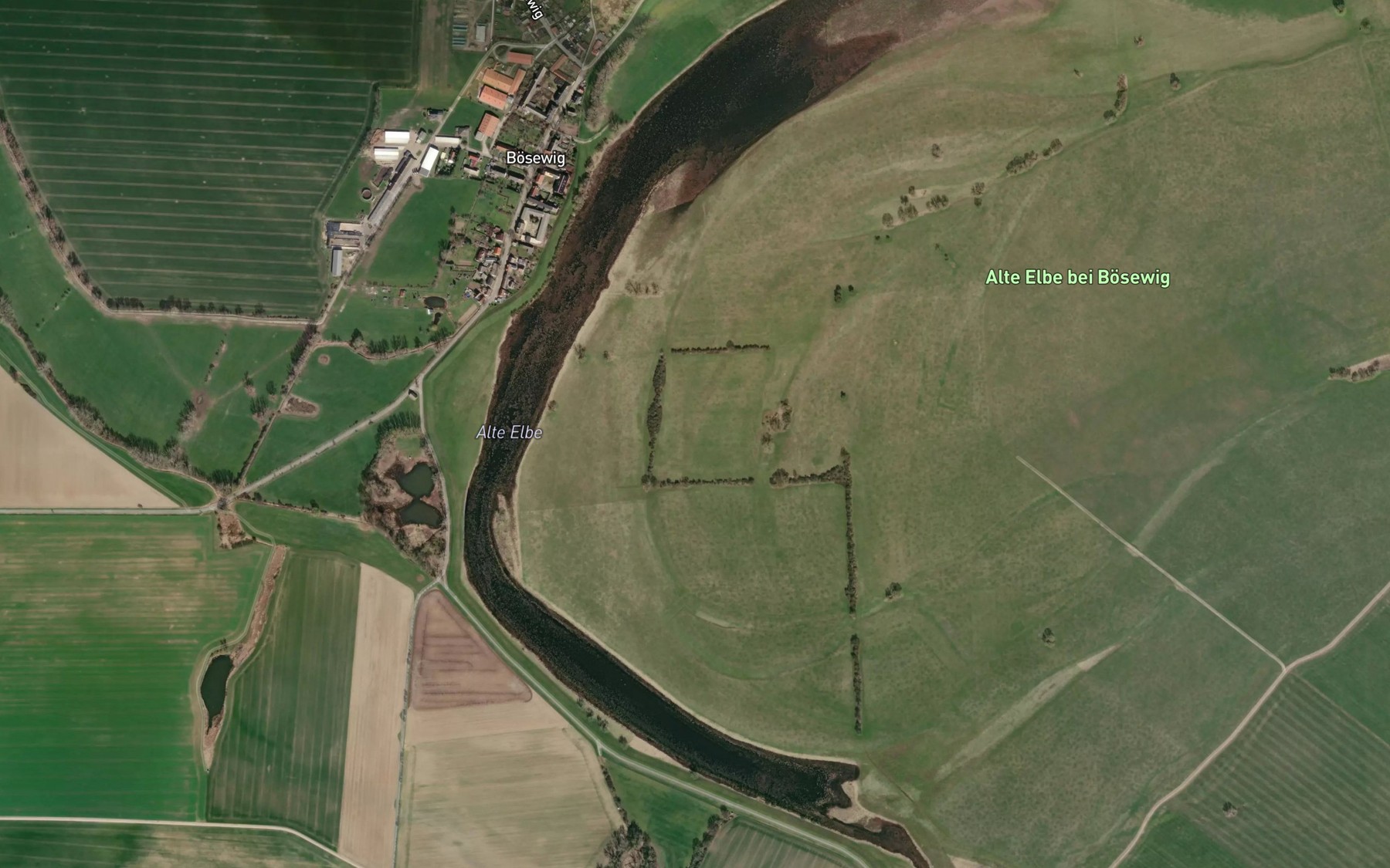 Satellite map of the Alte Elbe