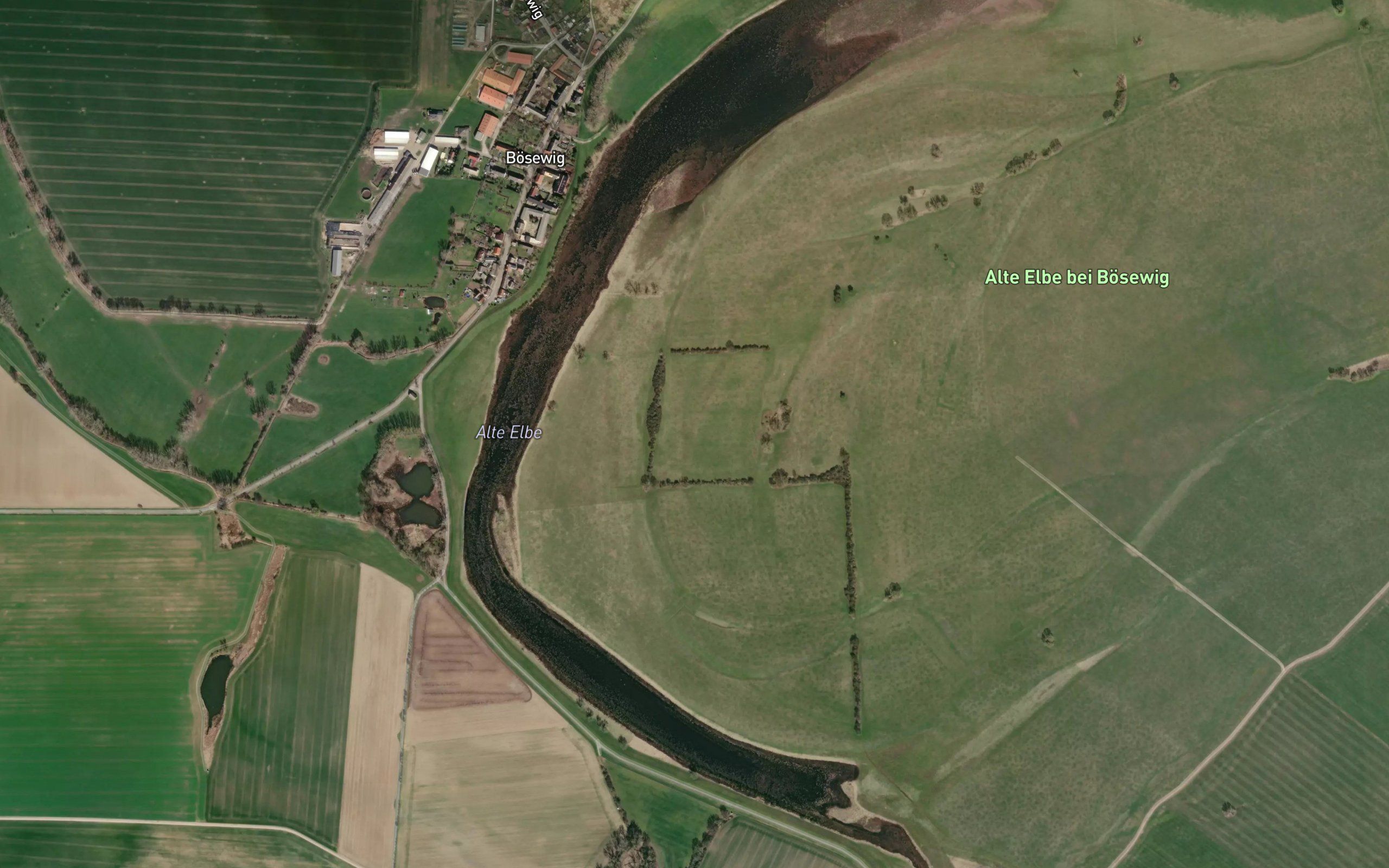Alte Elbe