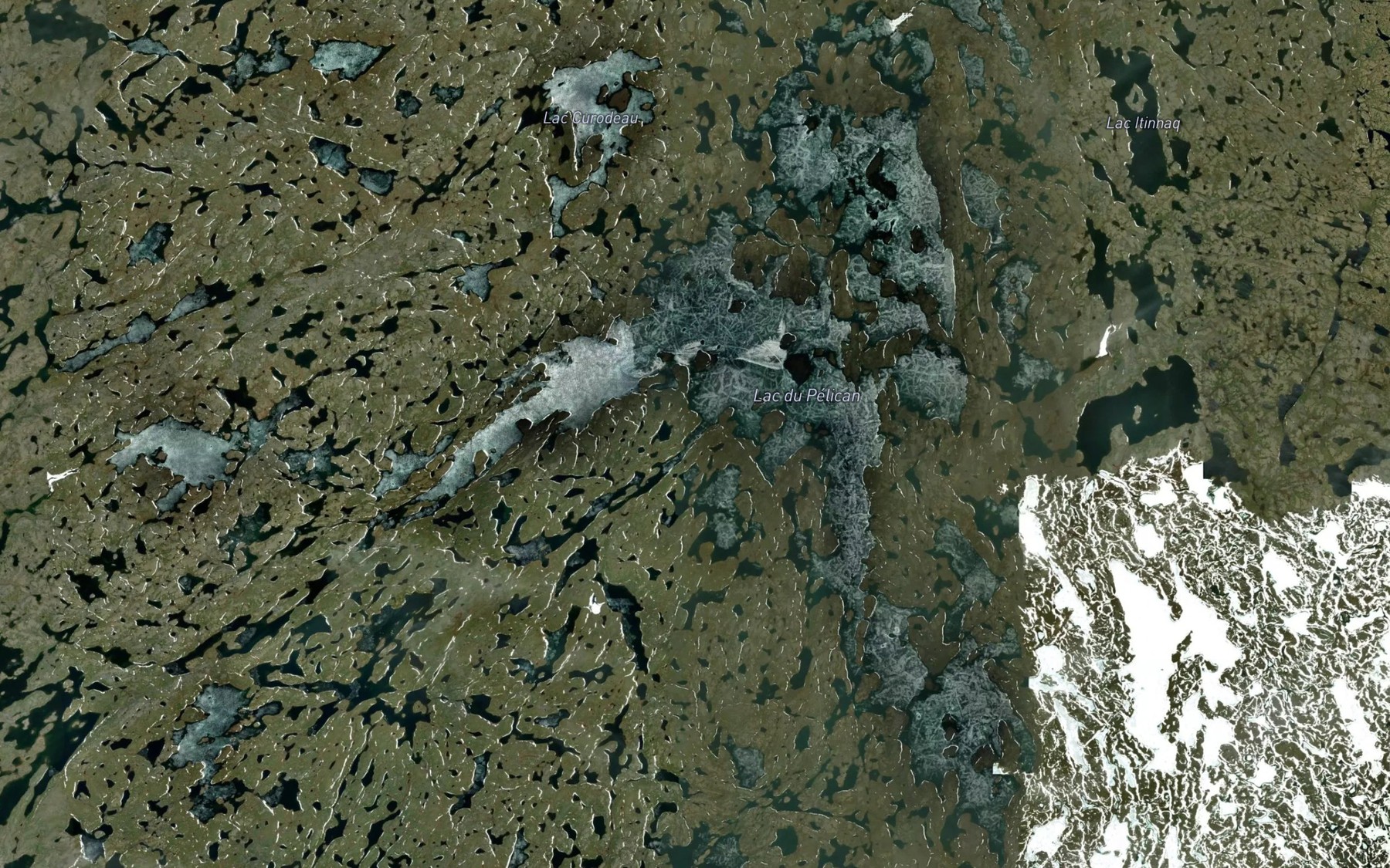 Satellite map of the Lac du Pelican