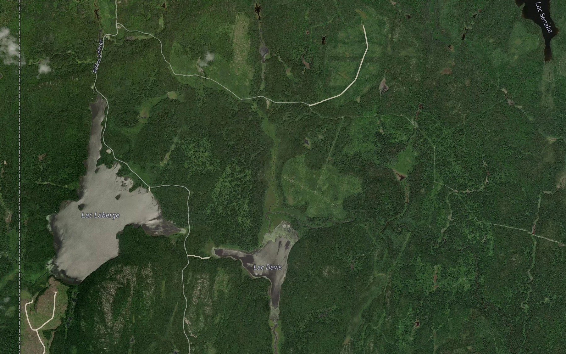 Satellite map of the Crique Amoeba