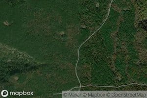 Bear Waller Spring