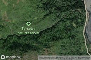 Torselva