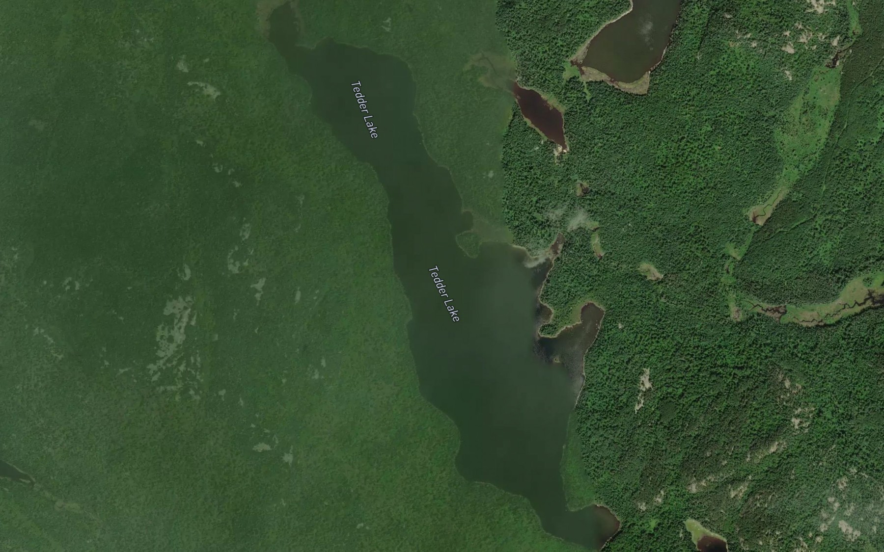 Satellite map of the Tedder Lake