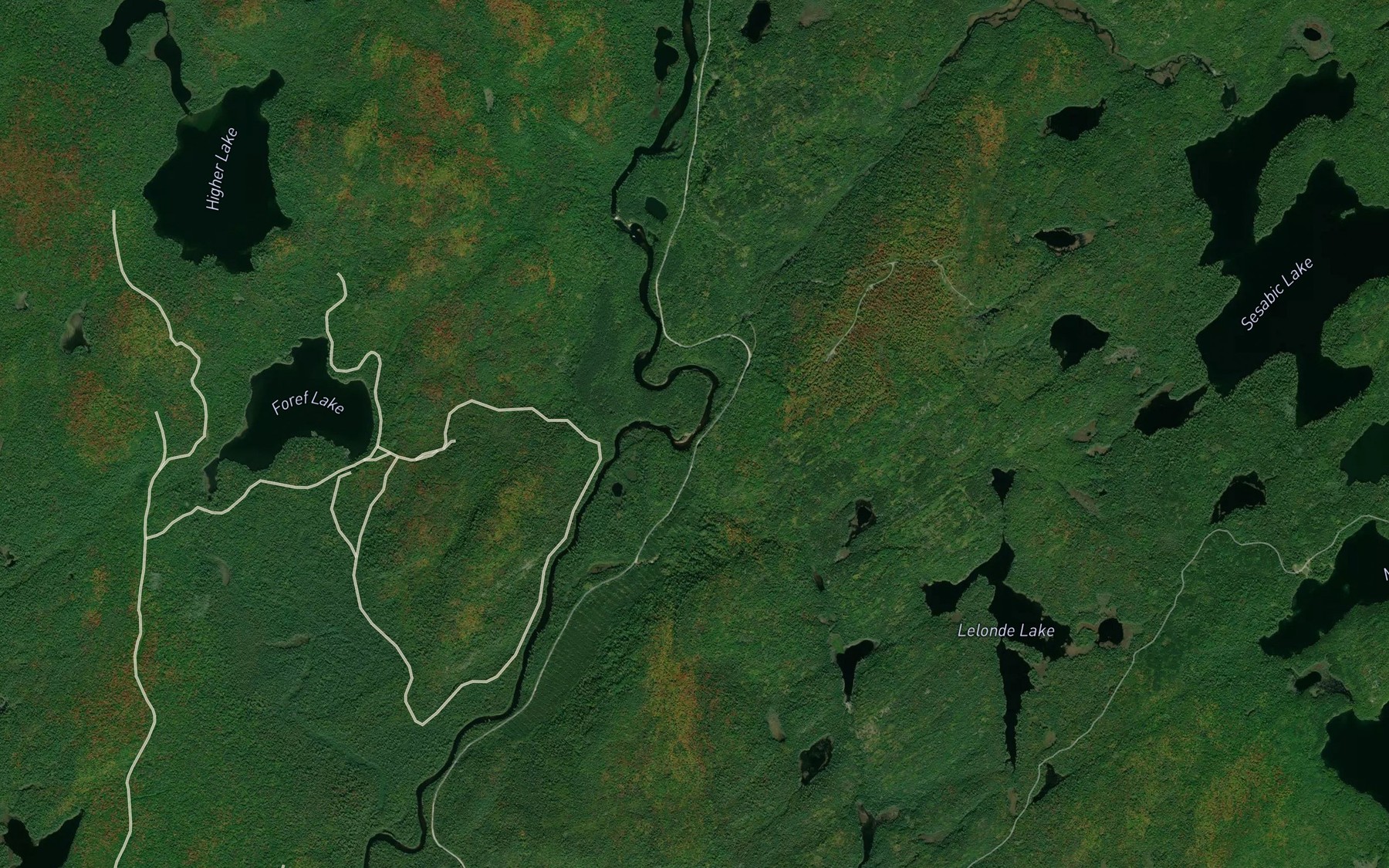 Satellite map of the Sesabic Creek