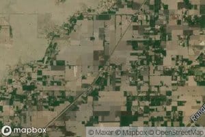 Two R Daubiana Distributary