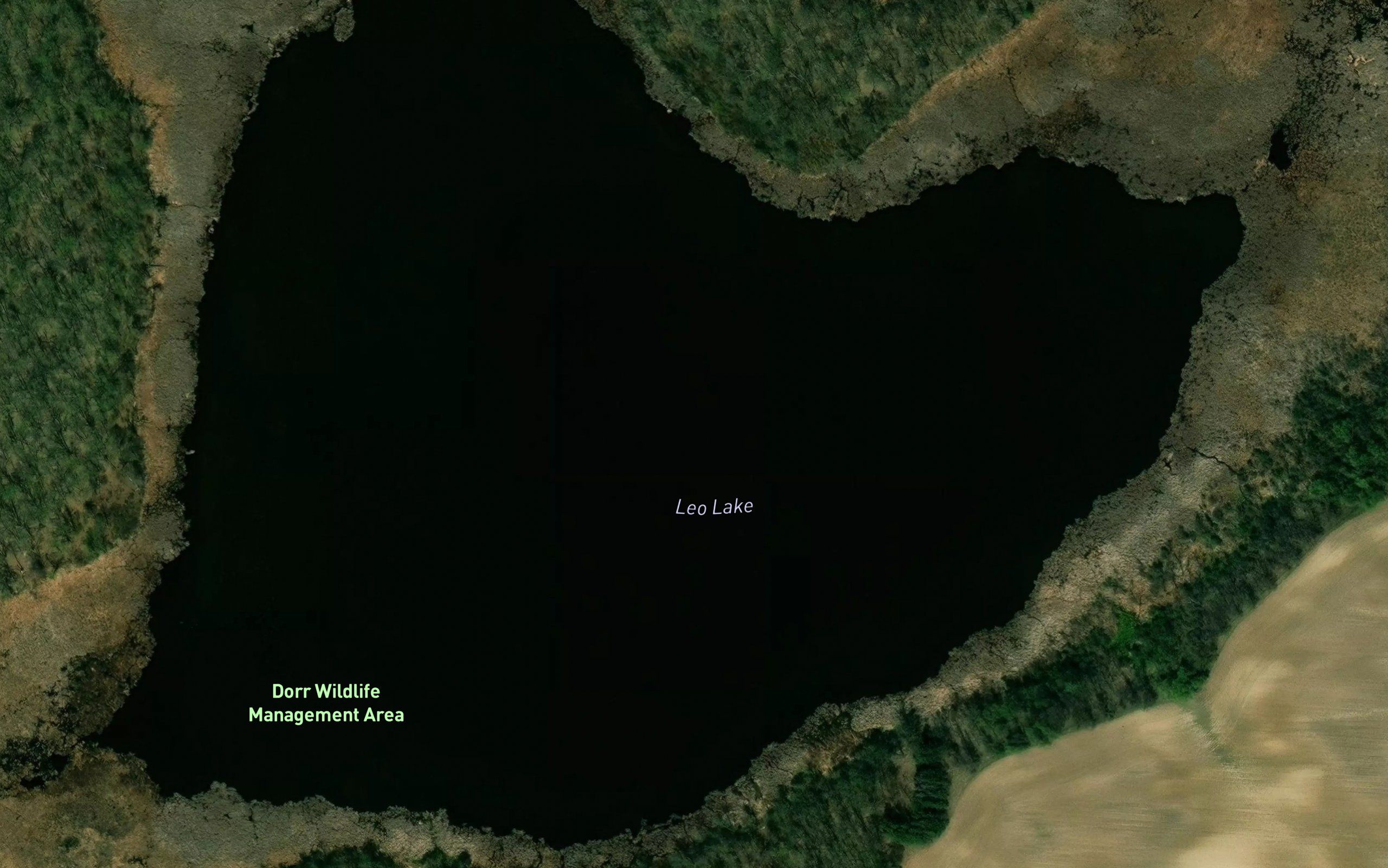 Leo Lake