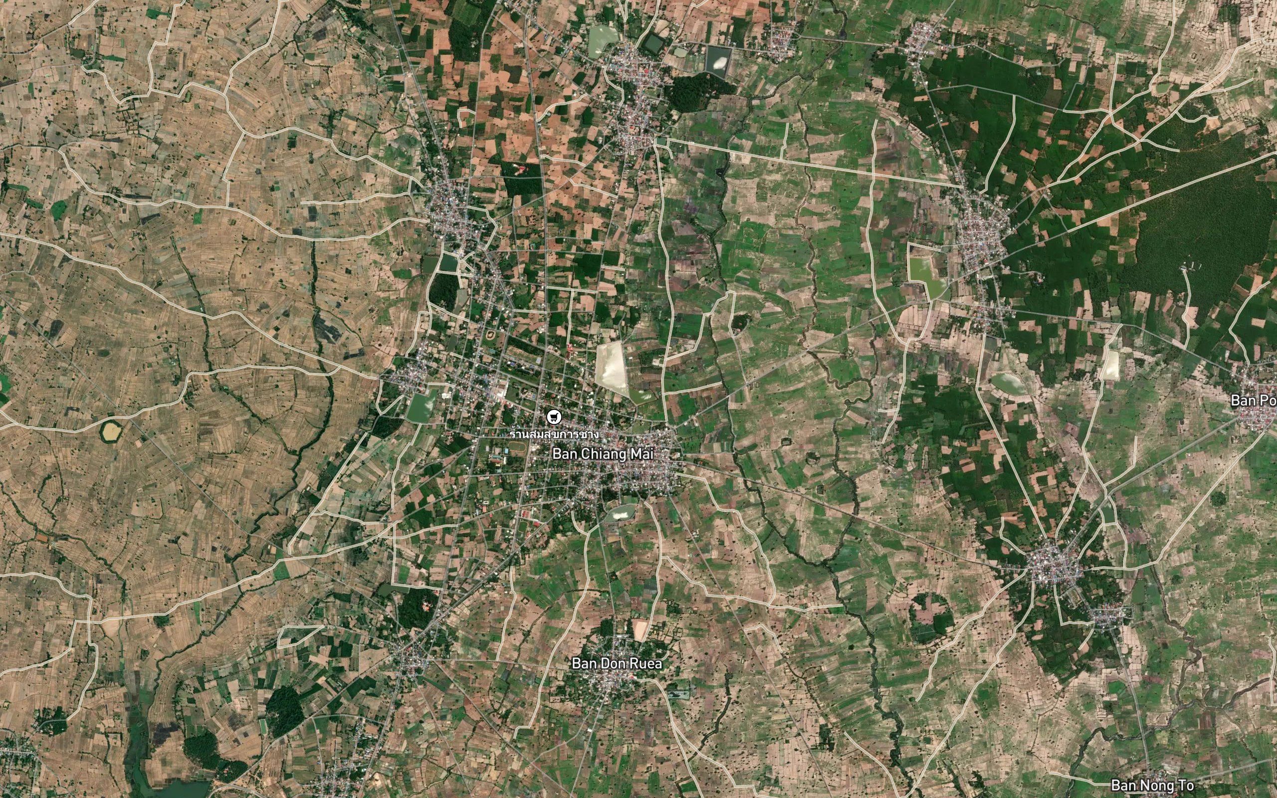 Nong Sim