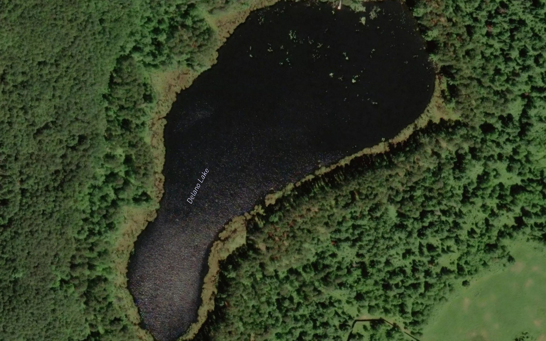 Satellite map of the Delano Lake