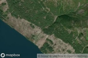 Korsflaelva