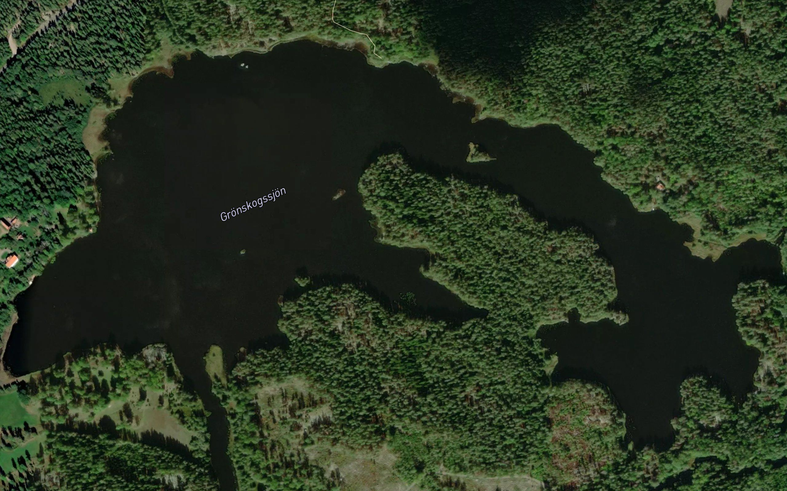 Gronskogssjon