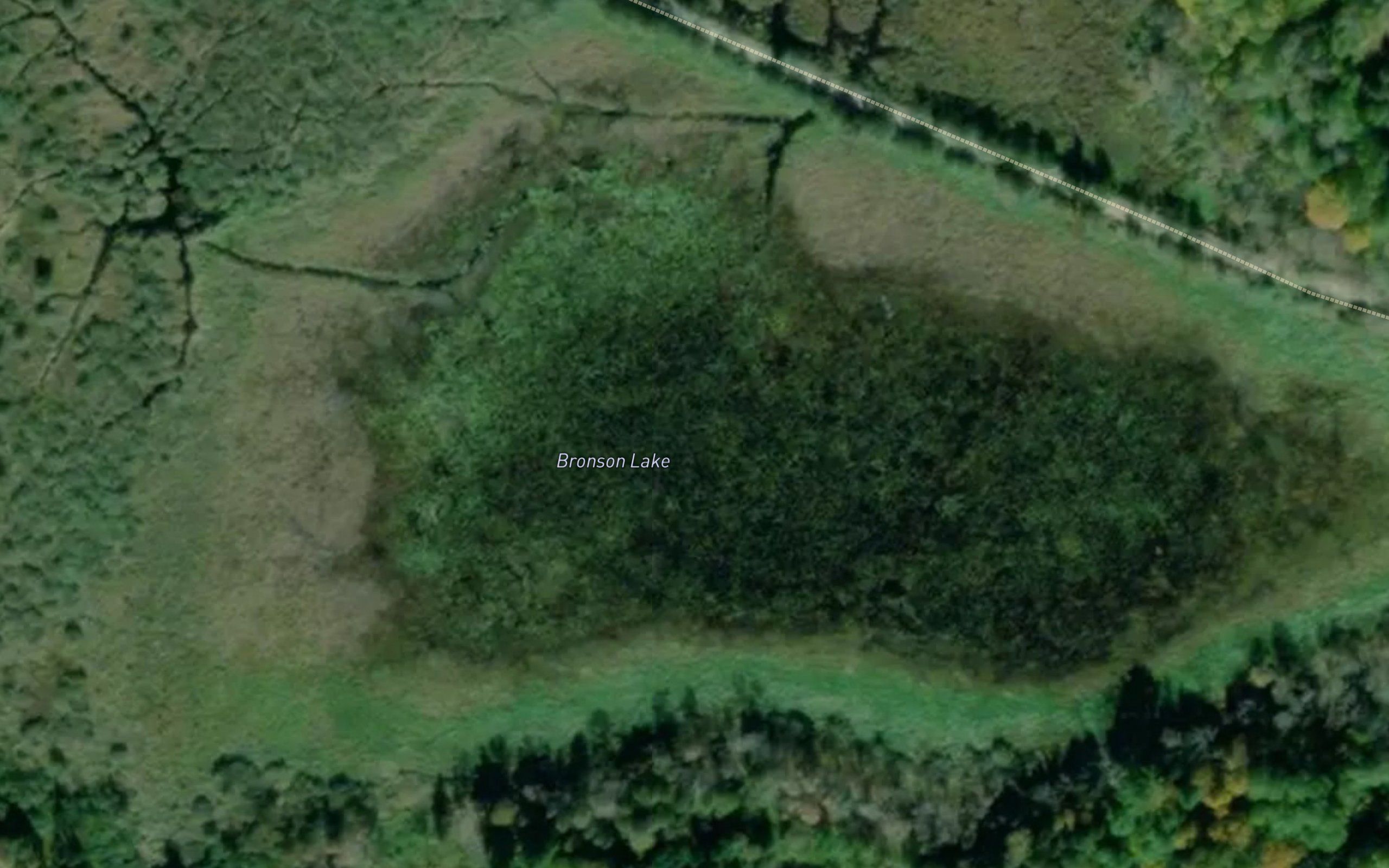 Bronson Lake