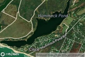 Hummock Pond