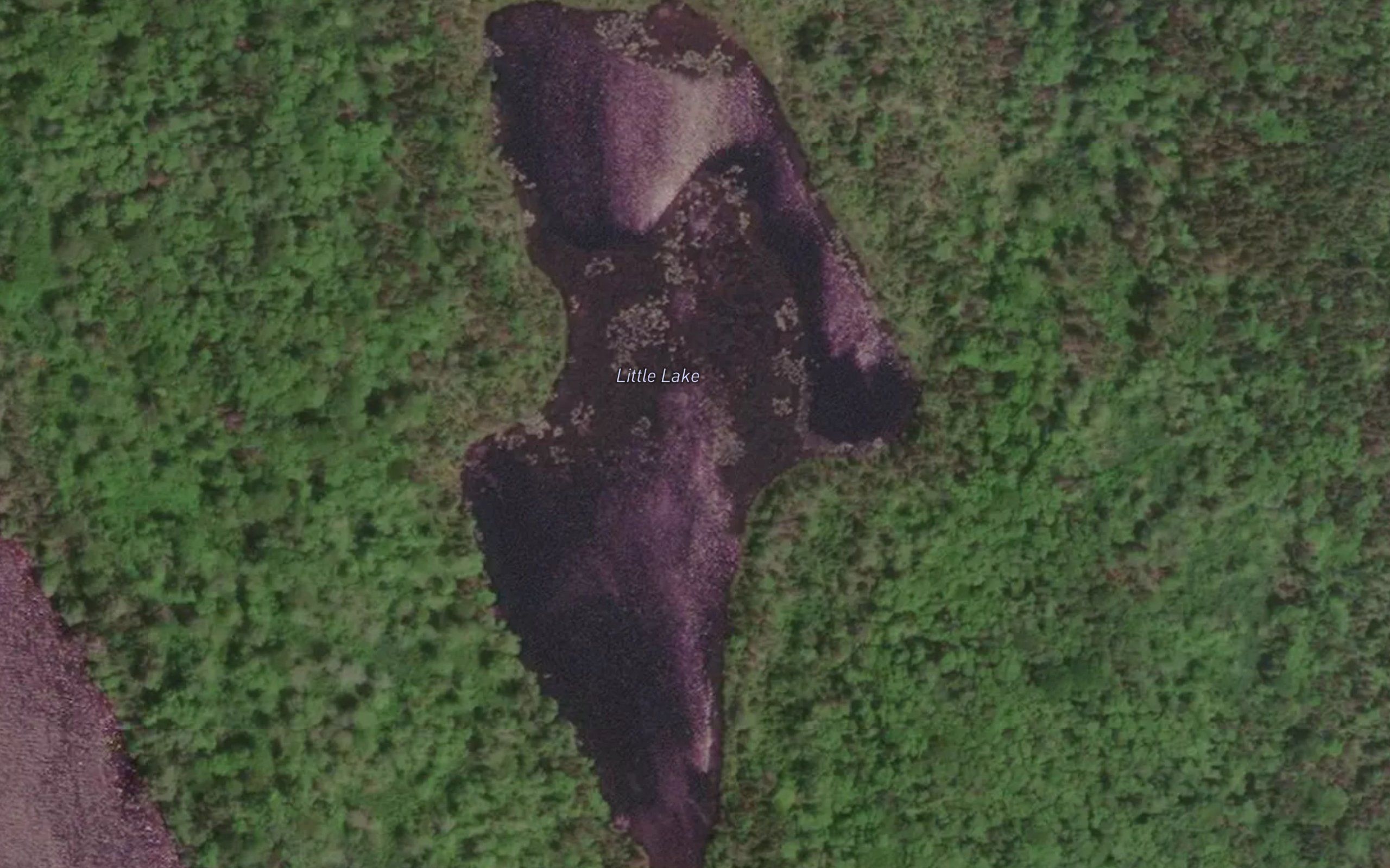 Little Lake
