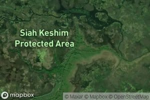 Rudkhaneh-ye Palang Var