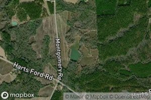 Youngs Pond
