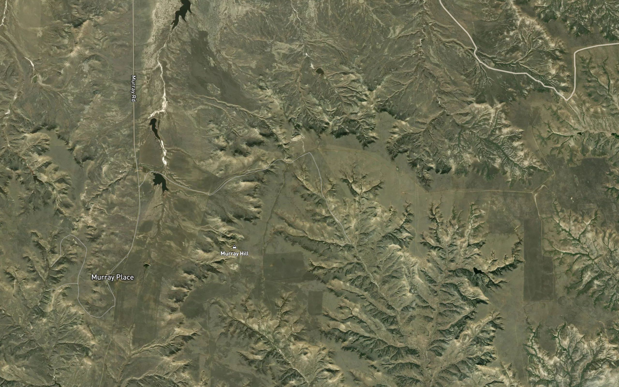 King Spring