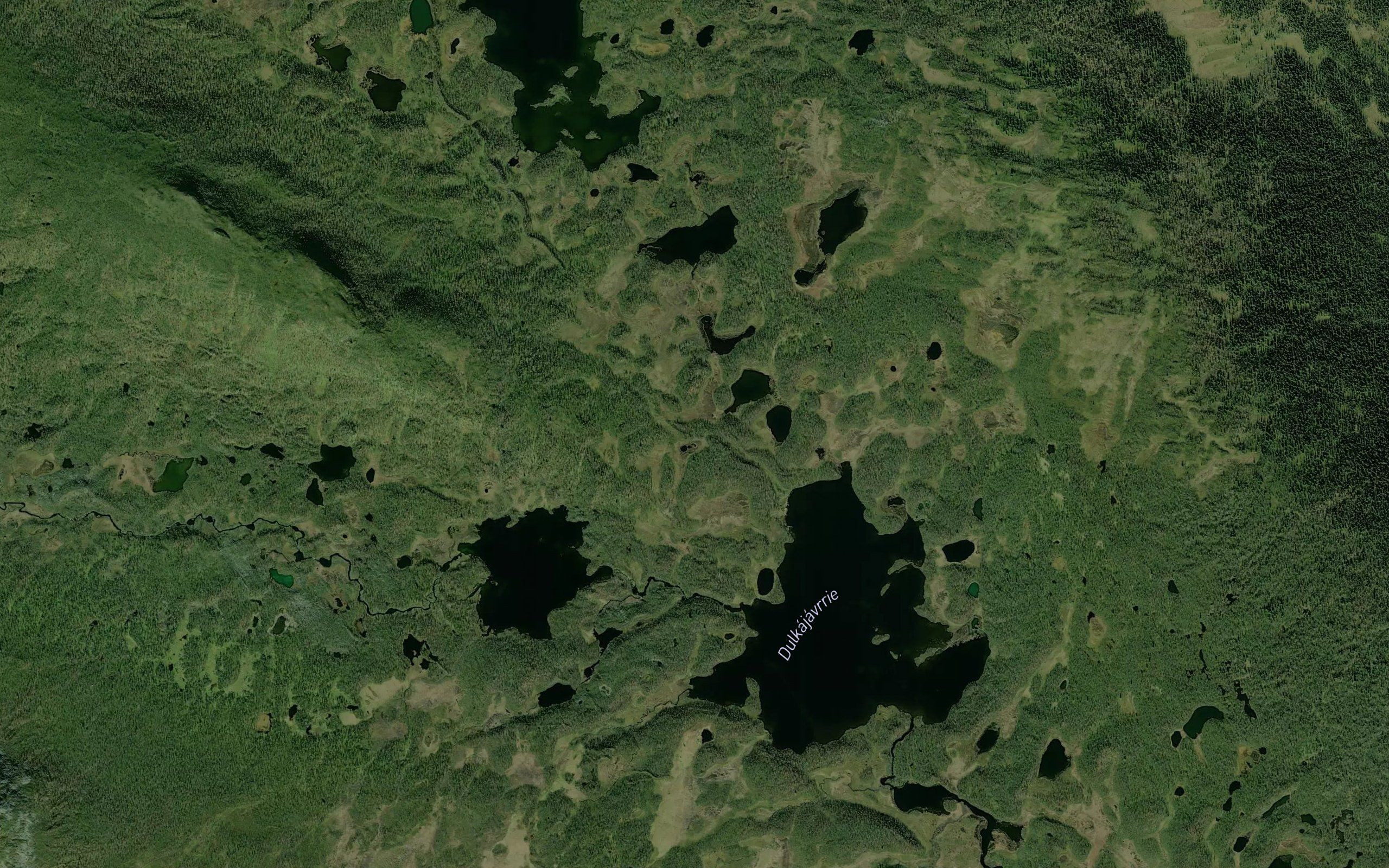 Dolkajaure