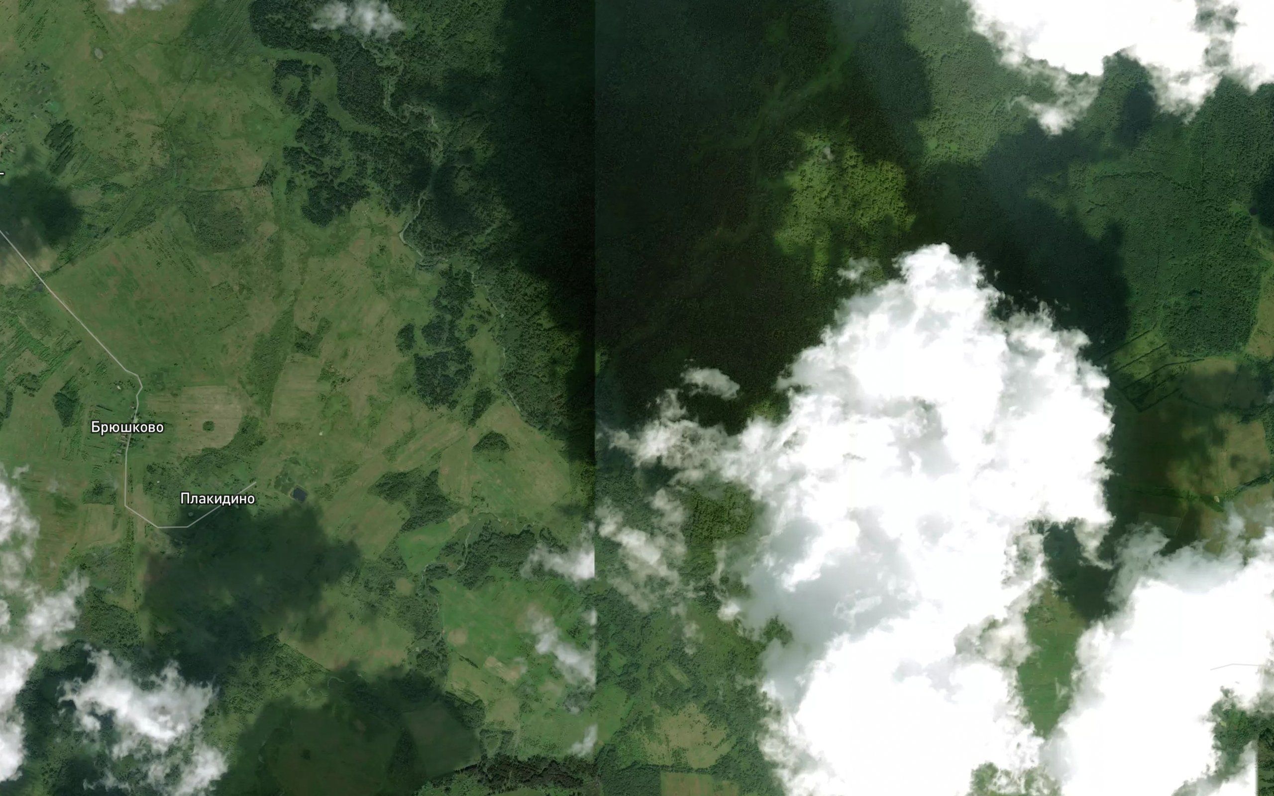 Yartsevka