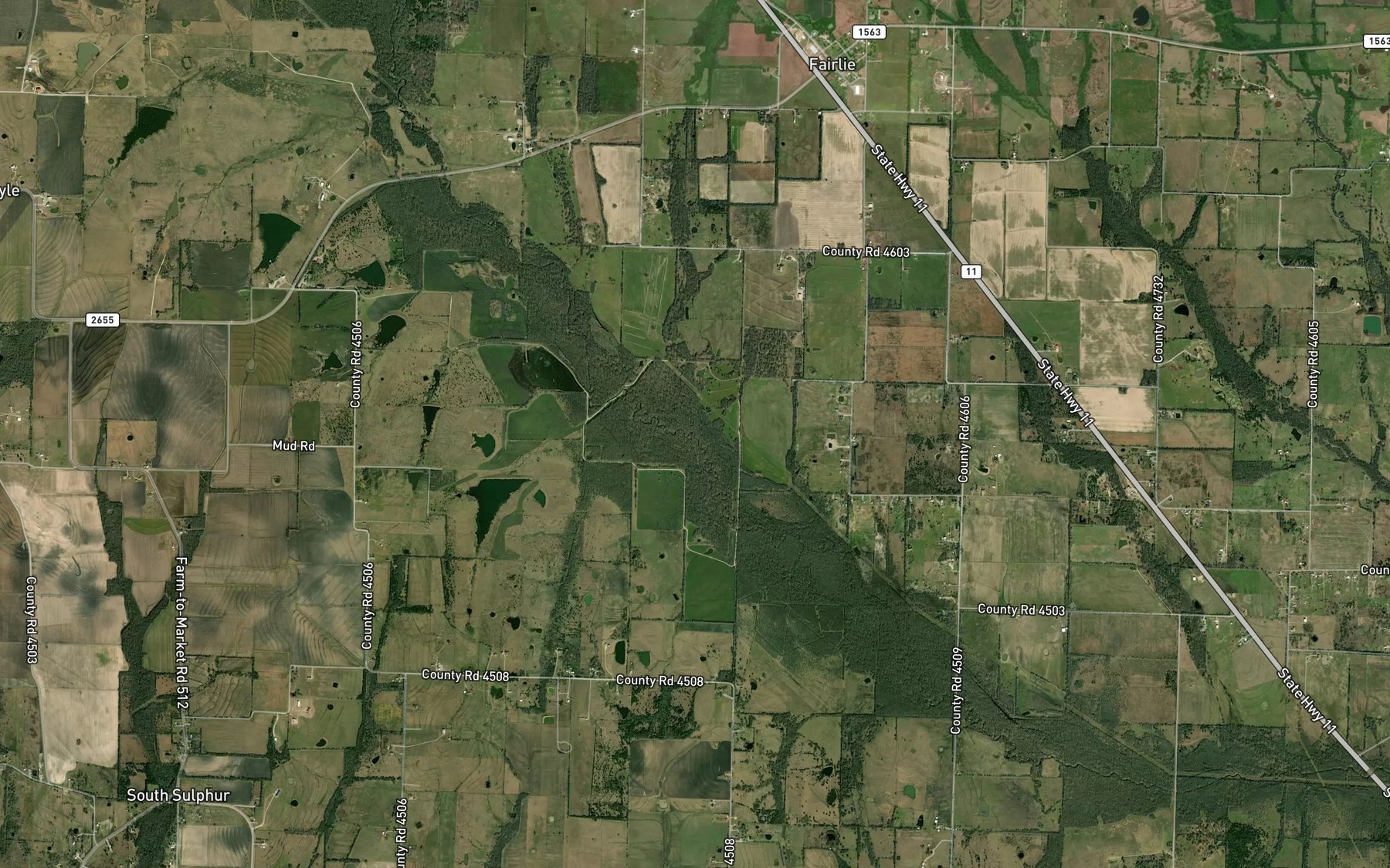 Satellite map of the Long Branch