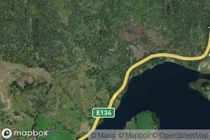 Vikatraebekken