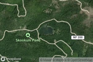 Skookum Pond