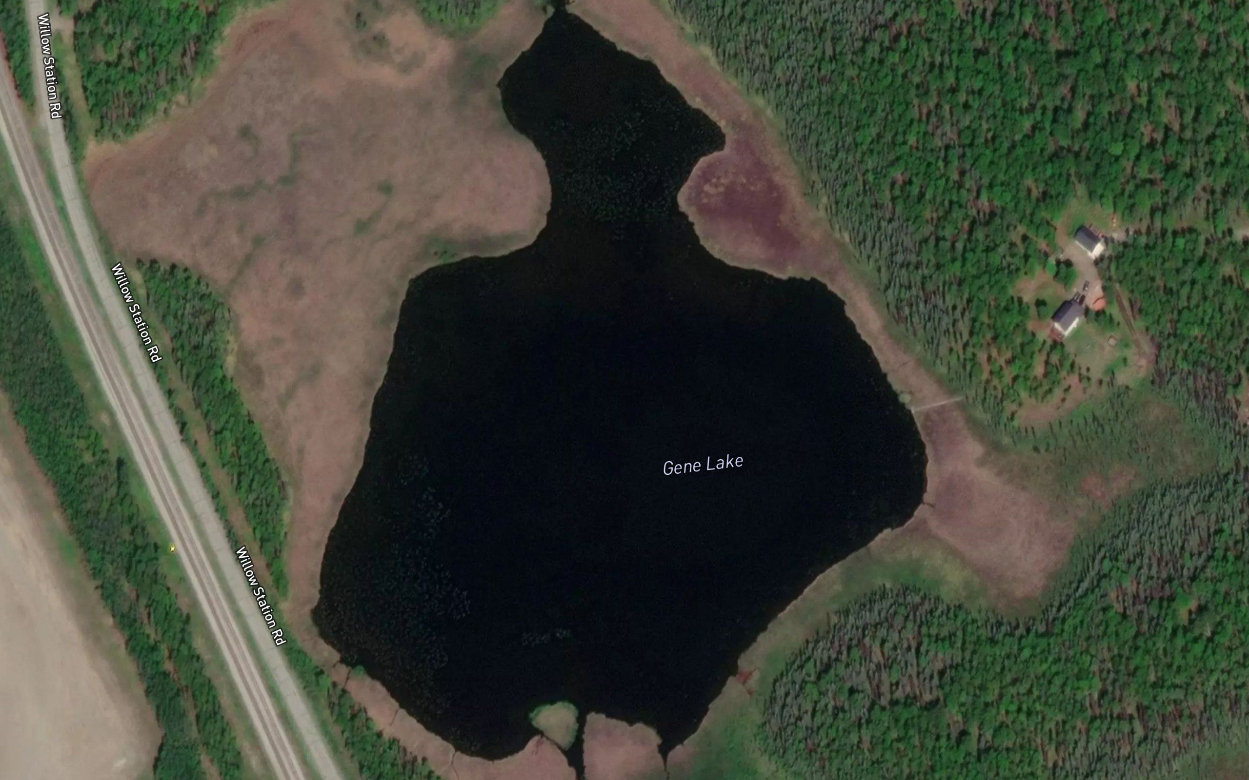 Gene Lake