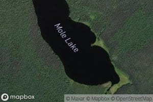 Mole Lake