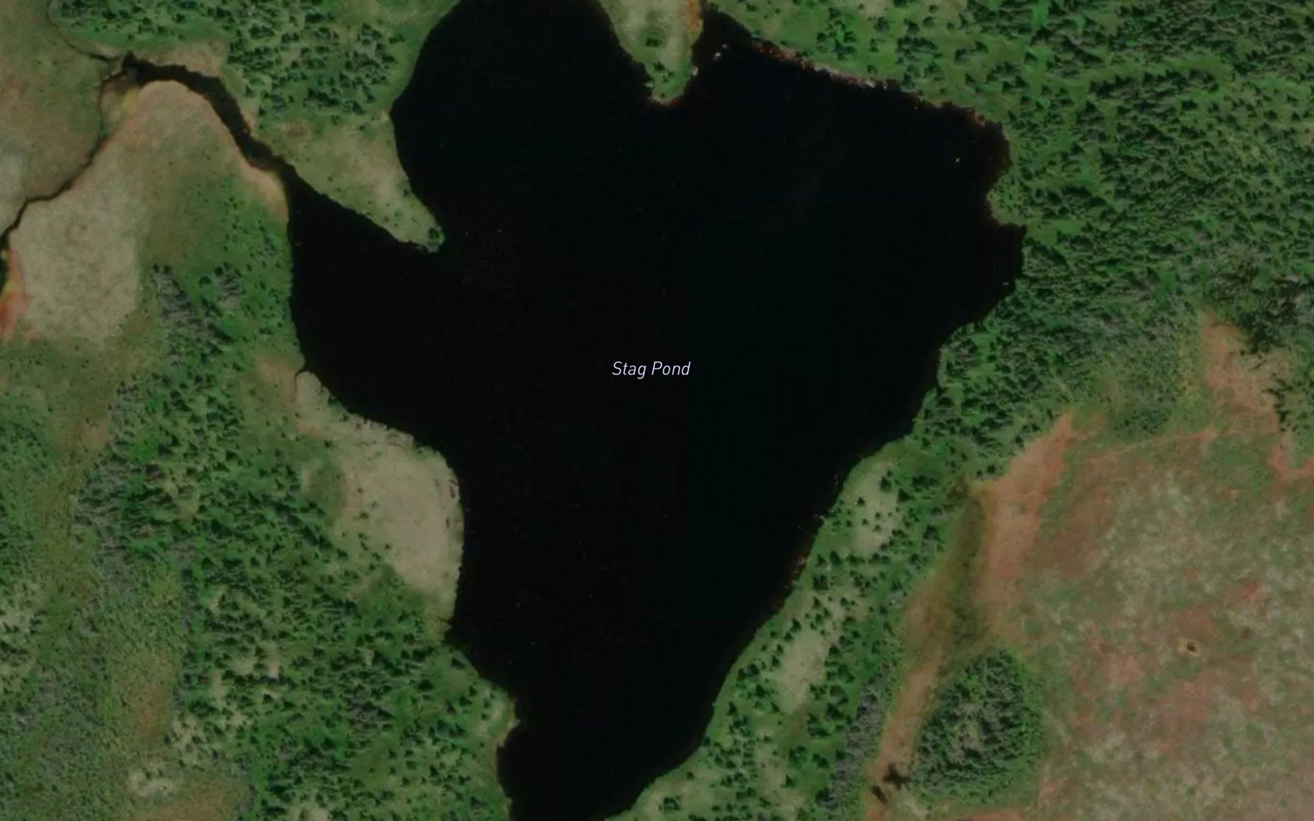 Stag Pond