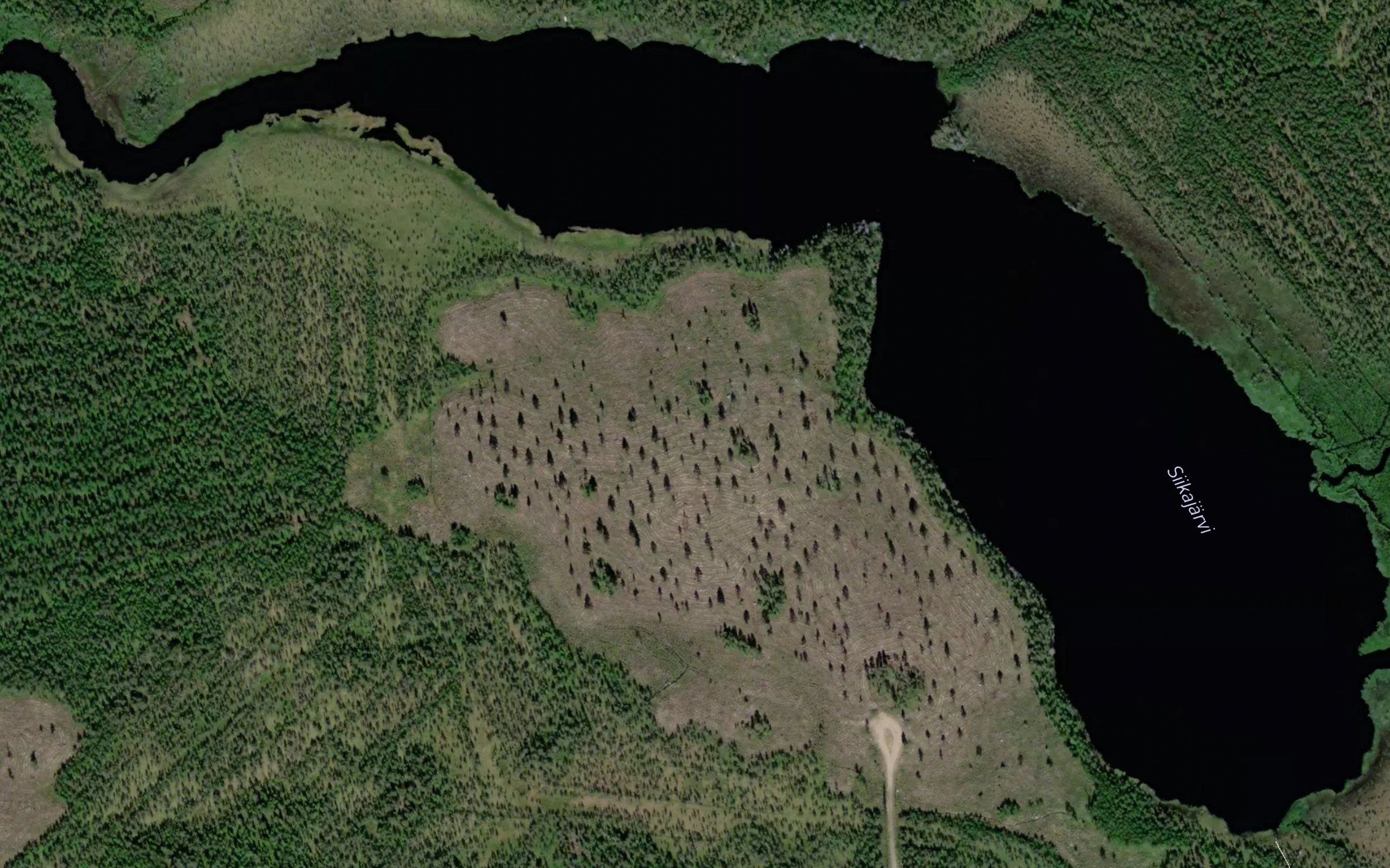 Rimpijoki