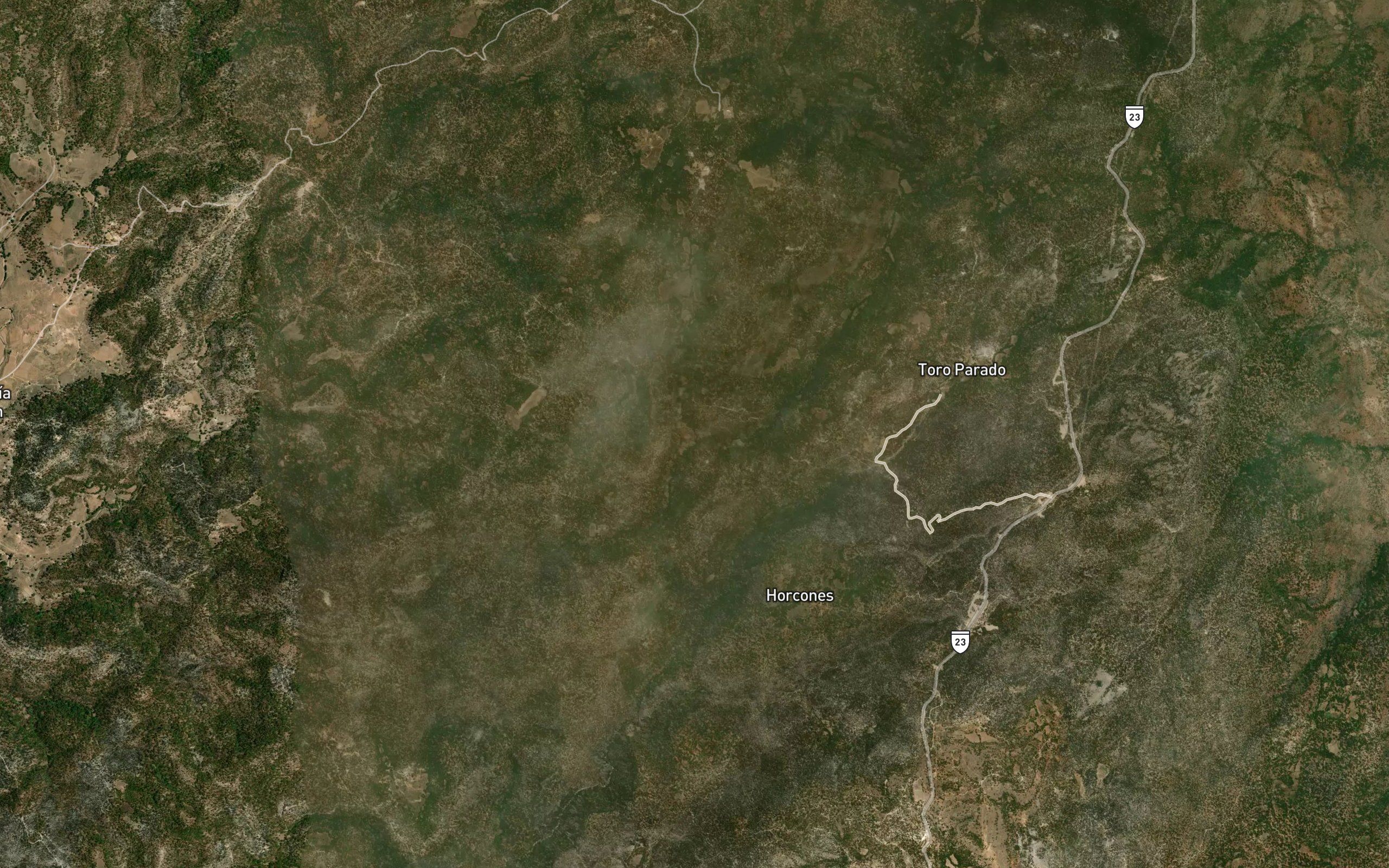Arroyo Encino Blanco