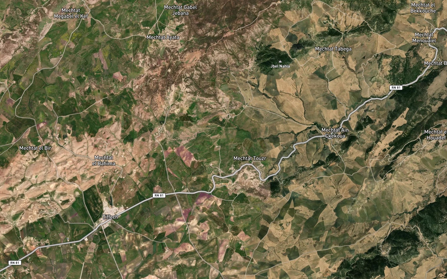 Satellite map of the 'Ain Chekoua