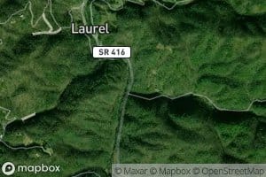 Laurel Branch