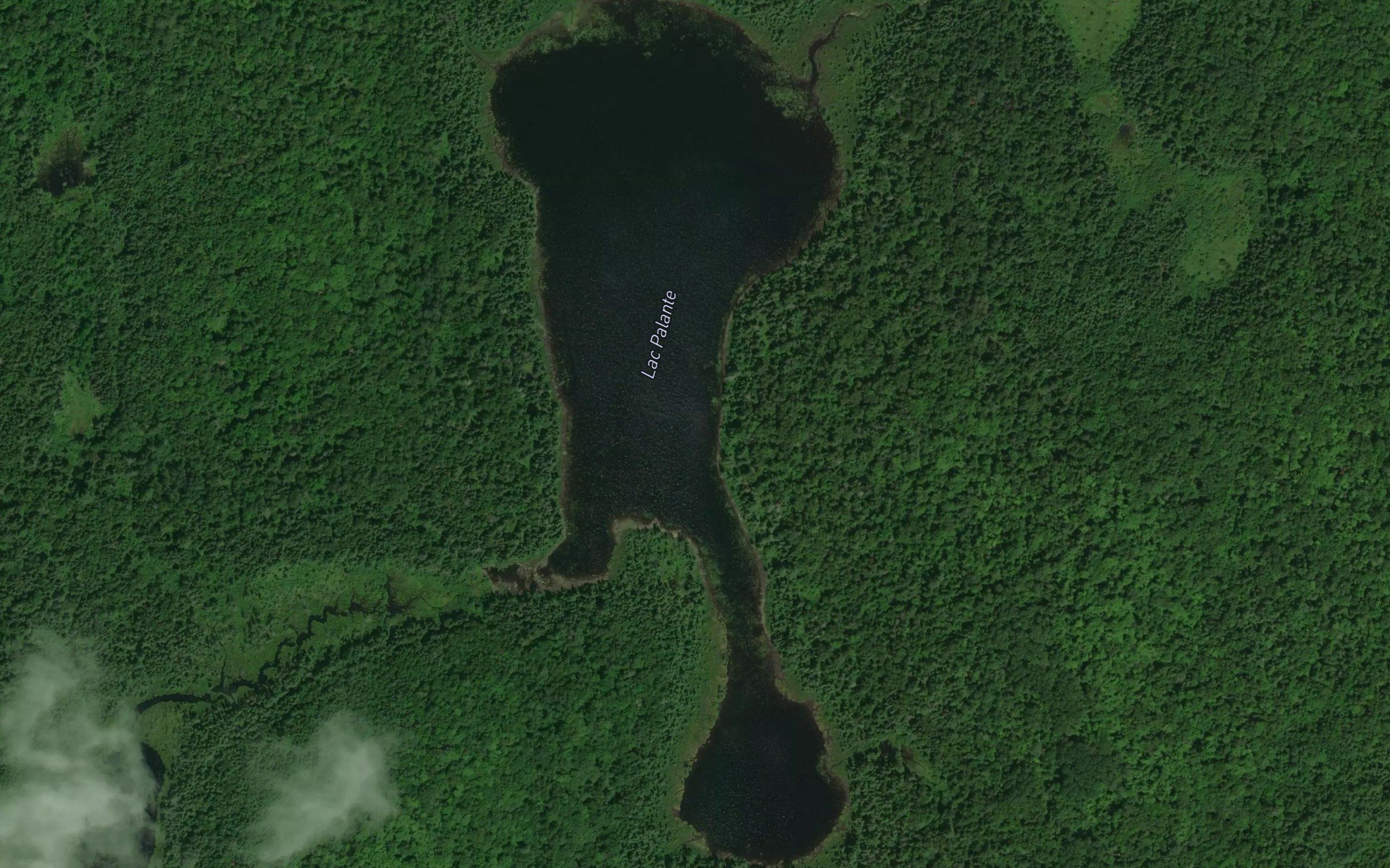 Lac Palante