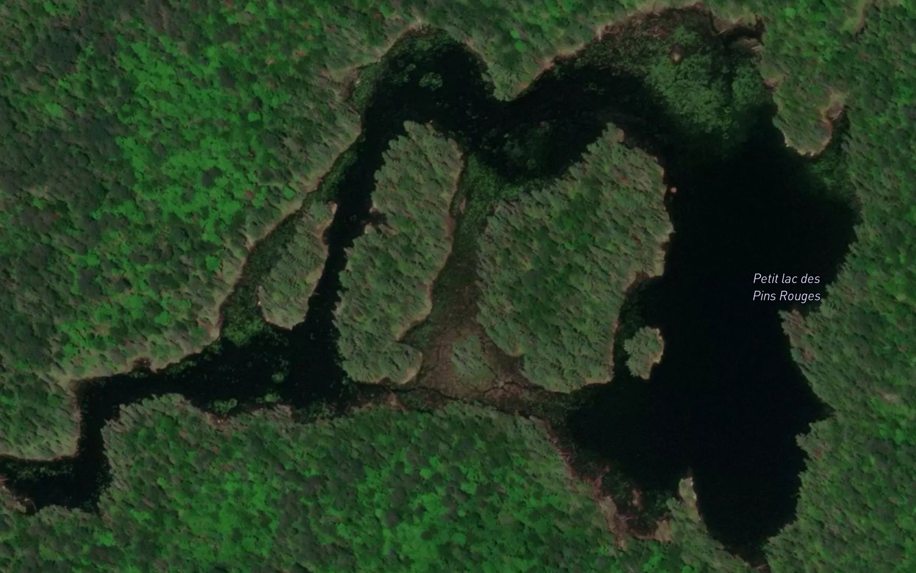 Satellite map of the Petit lac des Pins Rouges